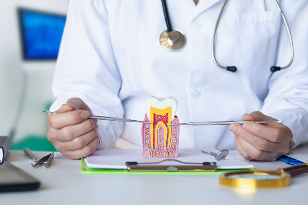 Best Emergency Gum Treatment in Slippery Rock University, PA